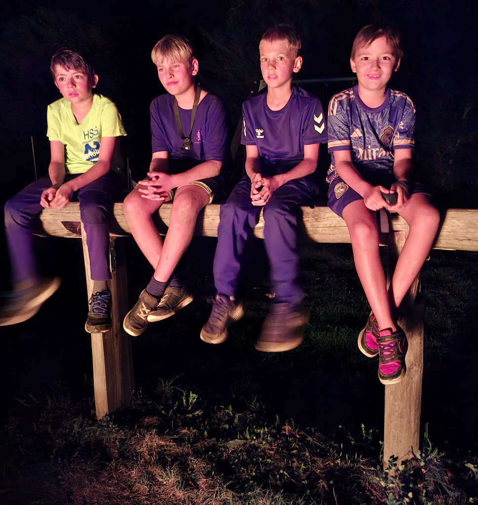 HSG-Zeltlager-2024-14