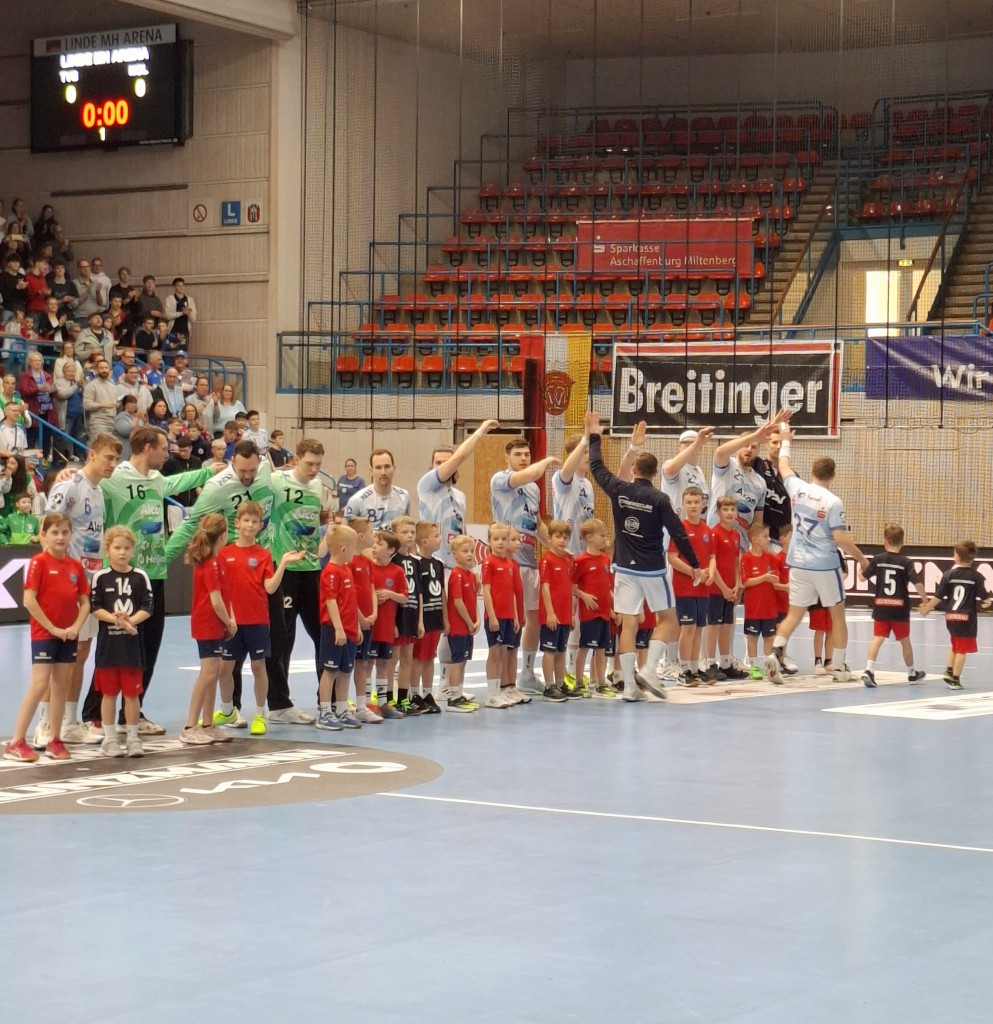 Minis-TVG-3