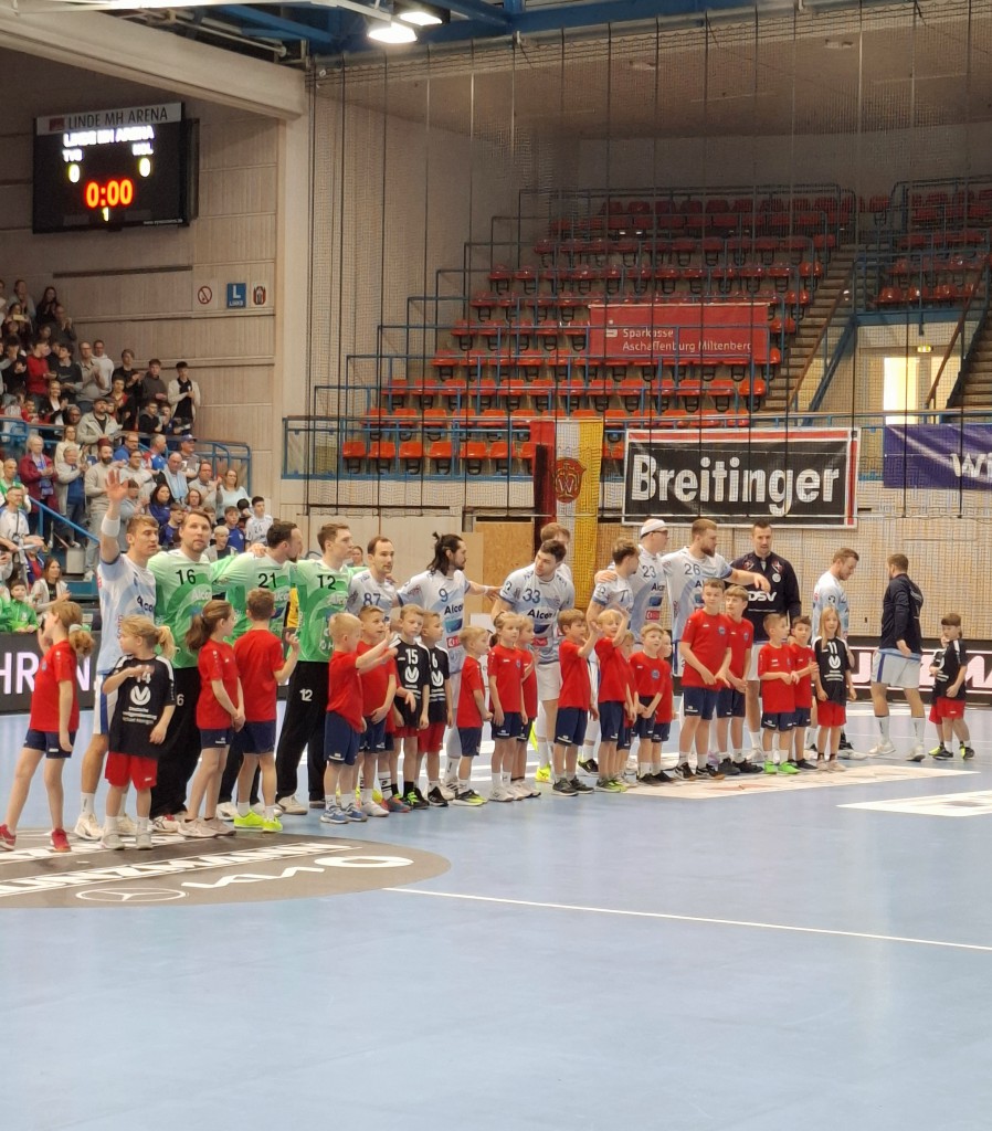 Minis-TVG-5