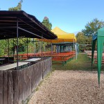 IMG_20221009_103823